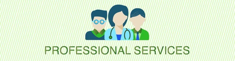 Professional Services Banner