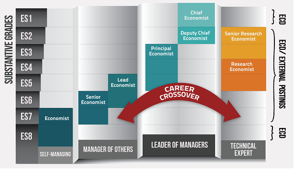 Graphic on ES Career Progression