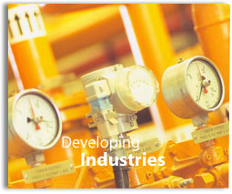 Developing Industries