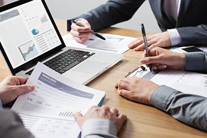 PROFESSIONAL SERVICES